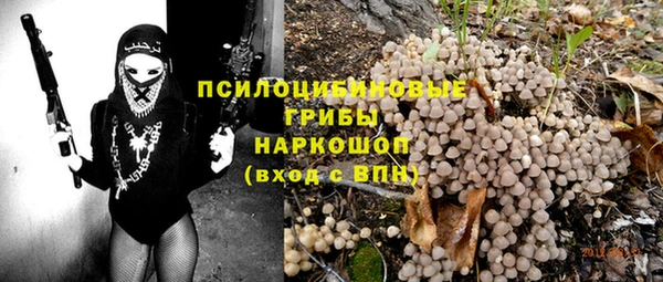 молекула духа Белокуриха