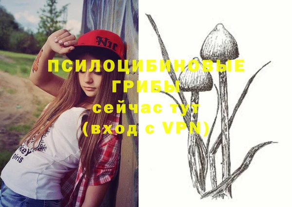 мдпв Сатка