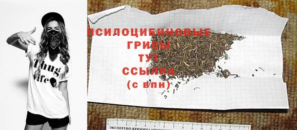 молекула духа Белокуриха